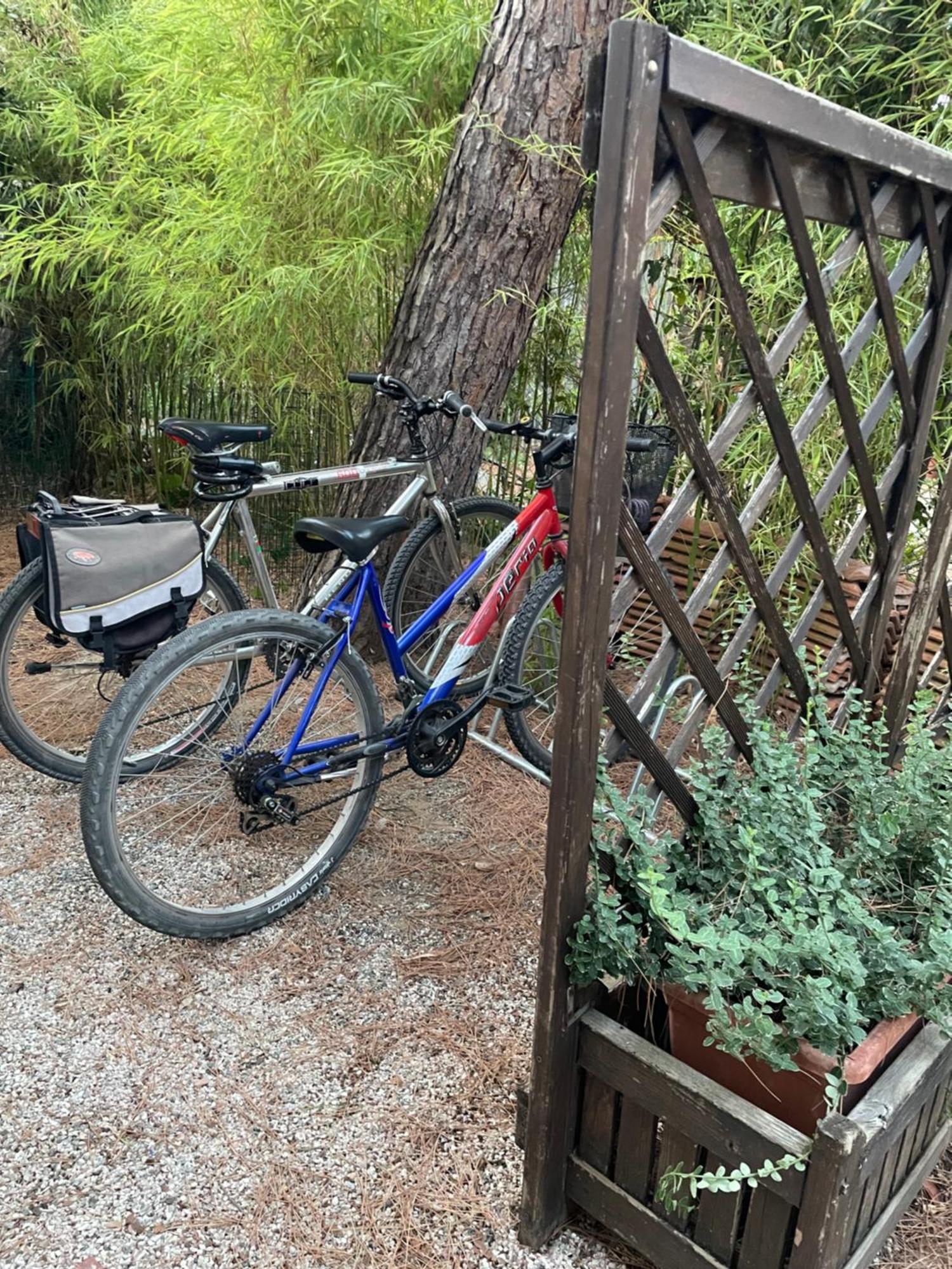 Il Fenicottero Cervia